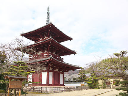 奈良斑鳩　法輪寺