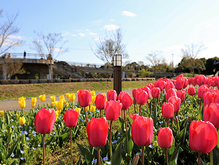 馬見丘陵公園