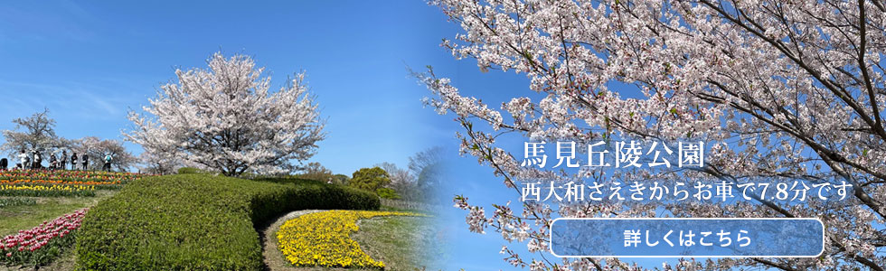 馬見丘陵公園 西大和さえきからお車で7.8分です